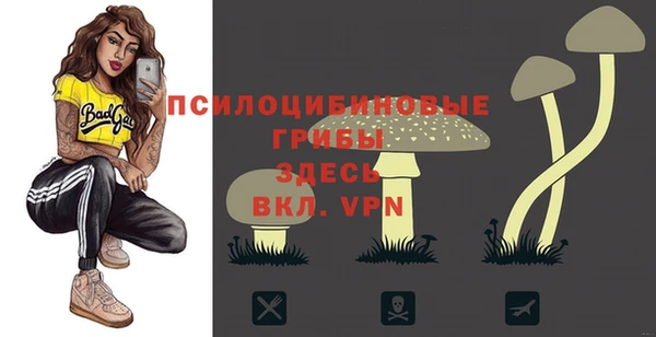 стафф Осинники