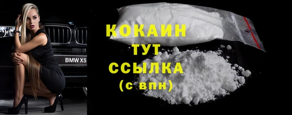 стафф Осинники