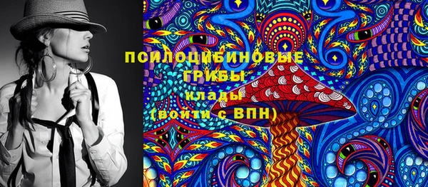 стафф Осинники