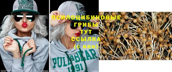 тгк Осташков