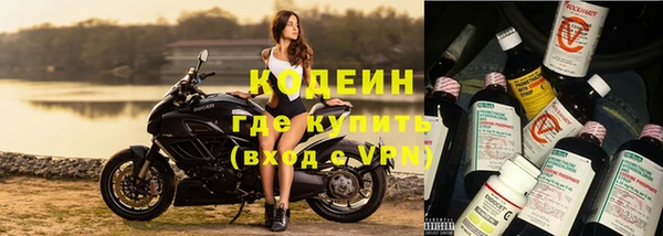 стафф Осинники