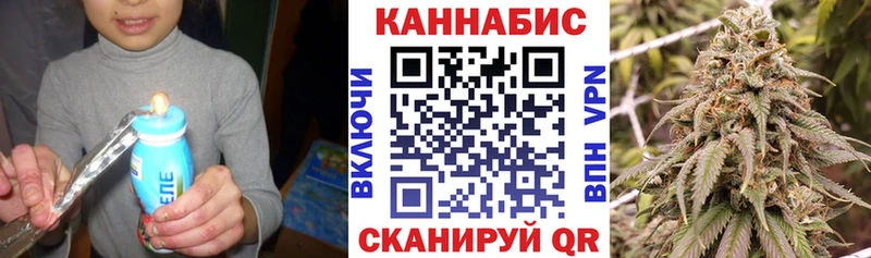 наркошоп  Полярный  Конопля сатива 